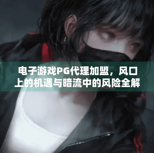 电子游戏PG代理加盟，风口上的机遇与暗流中的风险全解析,电子游戏PG代理加盟的优势与风险解析