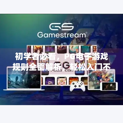 初学者必看，PG电子游戏规则全面解析，轻松入门不踩坑！初学者必看：pg电子游戏规则全面解析