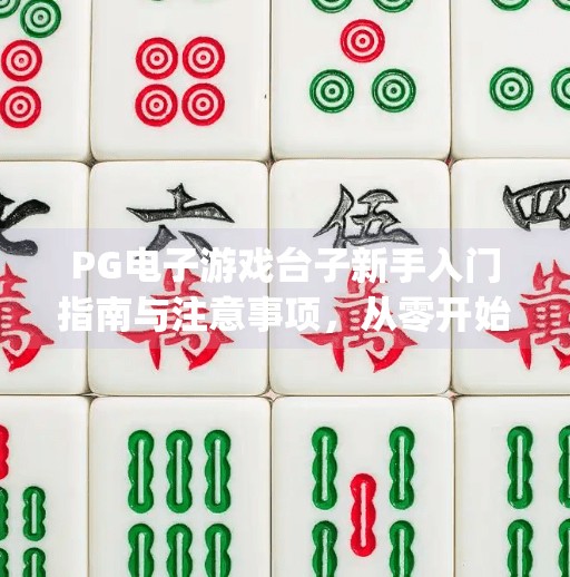 PG电子游戏台子新手入门指南与注意事项，从零开始玩转线上娱乐新体验！pg电子游戏台子新手入门指南与注意事项